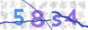 CAPTCHA 驗證圖片