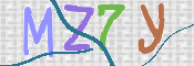 CAPTCHA 驗證圖片