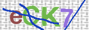 CAPTCHA 驗證圖片