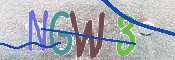 CAPTCHA 驗證圖片