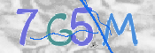 CAPTCHA 驗證圖片