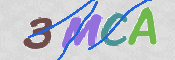 CAPTCHA 驗證圖片