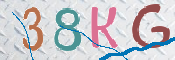 CAPTCHA 驗證圖片