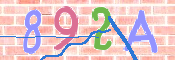 CAPTCHA 驗證圖片