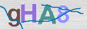 CAPTCHA 驗證圖片