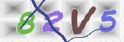 CAPTCHA 驗證圖片