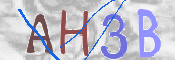 CAPTCHA 驗證圖片