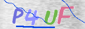 CAPTCHA 驗證圖片