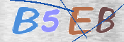 CAPTCHA 驗證圖片