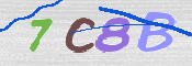 CAPTCHA 驗證圖片