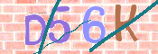 CAPTCHA 驗證圖片
