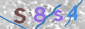 CAPTCHA 驗證圖片