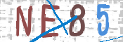 CAPTCHA 驗證圖片