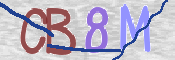 CAPTCHA 驗證圖片