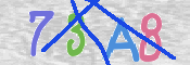 CAPTCHA 驗證圖片