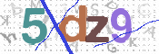 CAPTCHA 驗證圖片