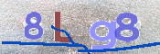 CAPTCHA 驗證圖片