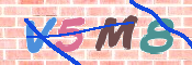 CAPTCHA 驗證圖片