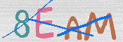 CAPTCHA 驗證圖片