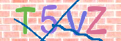 CAPTCHA 驗證圖片
