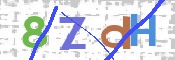 CAPTCHA 驗證圖片
