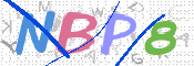 CAPTCHA 驗證圖片